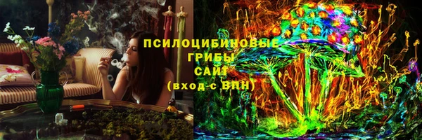 СК Белокуриха