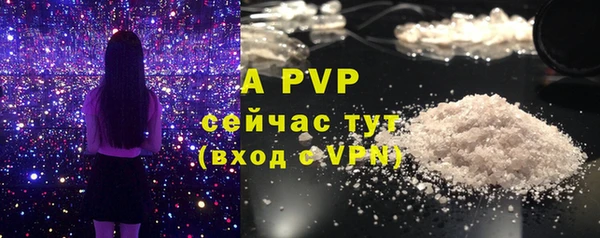 СК Белокуриха