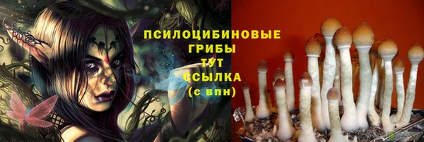 ECSTASY Беломорск