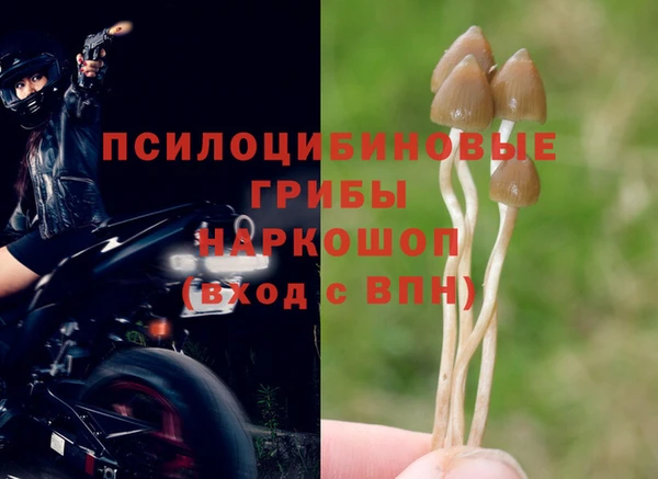СК Белокуриха
