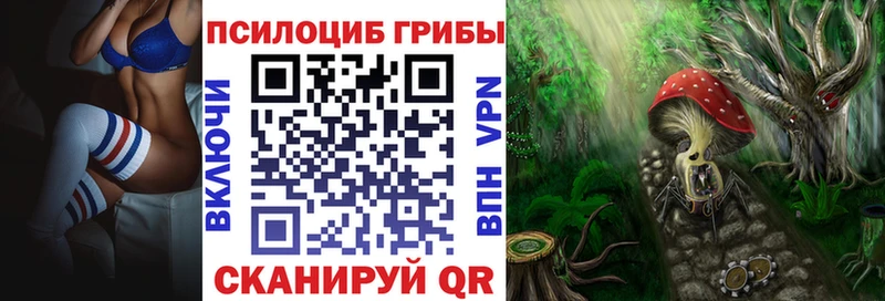гидра как войти дарк нет формула Галлюциногенные грибы прущие грибы Оха
